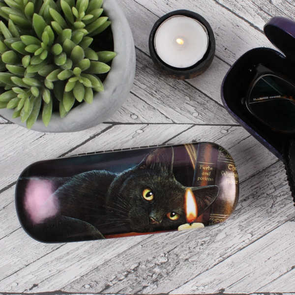Lisa Parker Black Cat Glasses Case
