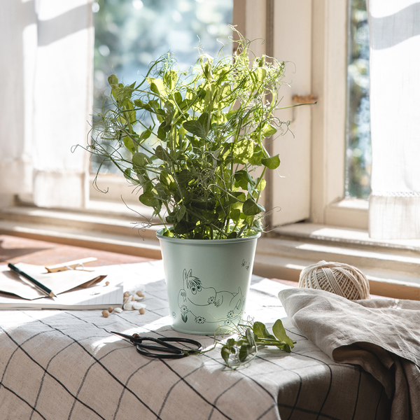 Muurla Moomin Flower Pot, Gardenia