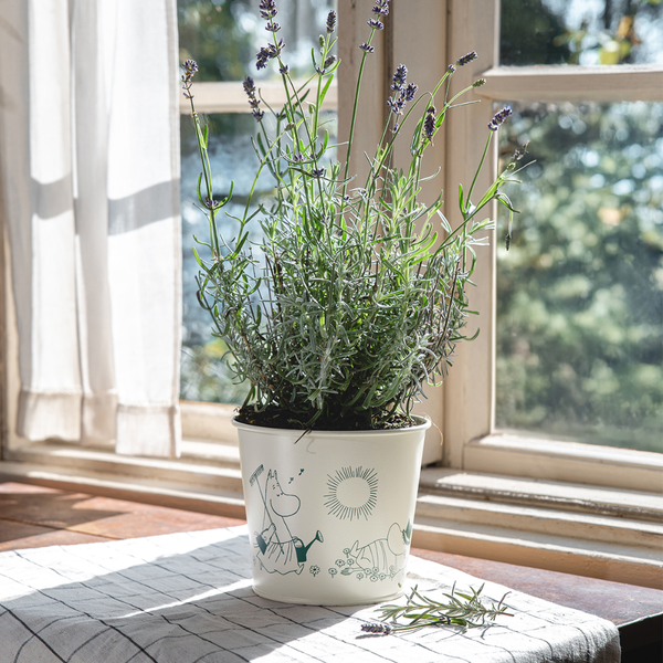 Muurla Moomin Flower Pot Gardenia, 16 cm